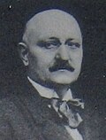 Ion Vidu